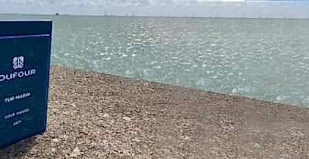 turmarin-odul-2